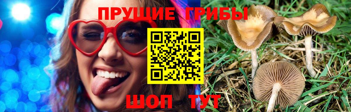 Лыткарино  Псилоцибиновые грибы Magic Shrooms  Галлюциногенные грибы GOLDEN TEACHER  Вход с VPN 